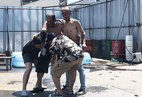 2018BBQ大会