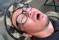 2017BBQ大会