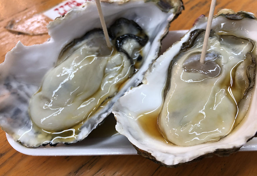 2019社員旅行