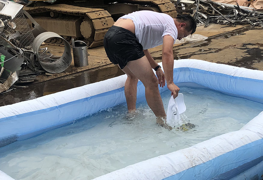 2019BBQ