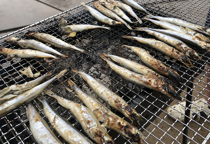 2019BBQ